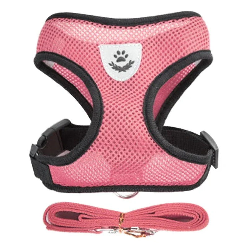 Adjustable Mesh Cat Harness Vest with Leash - Perfect for Small and Medium Pets!
