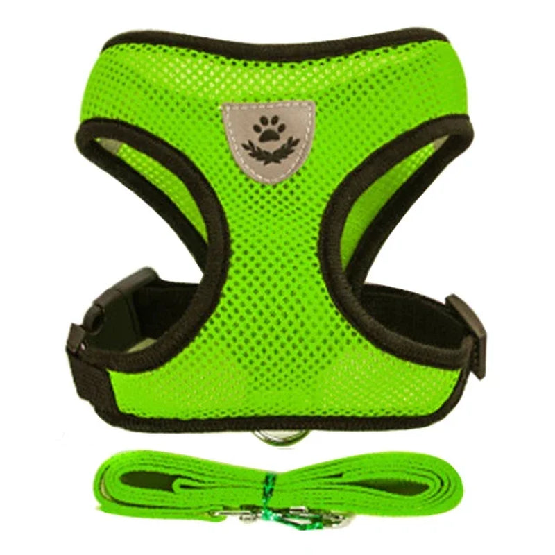 Adjustable Mesh Cat Harness Vest with Leash - Perfect for Small and Medium Pets!