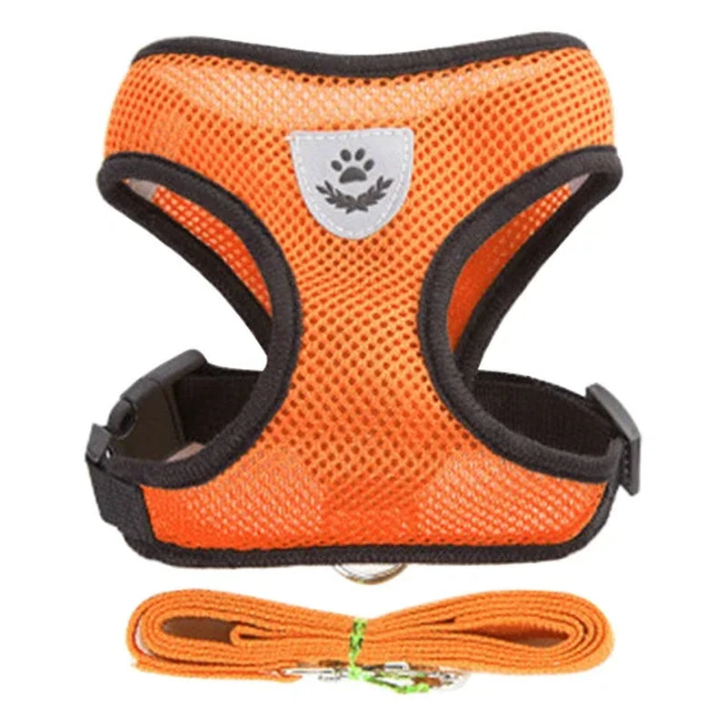 Adjustable Mesh Cat Harness Vest with Leash - Perfect for Small and Medium Pets!