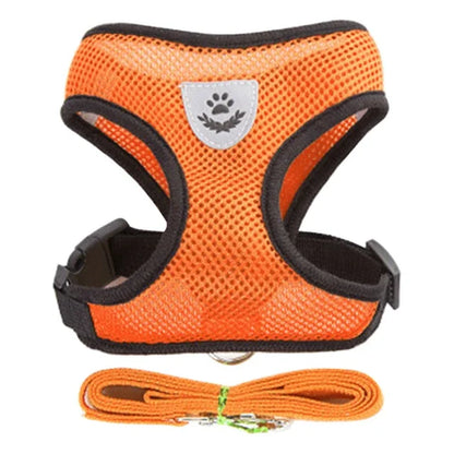 Adjustable Mesh Cat Harness Vest with Leash - Perfect for Small and Medium Pets!