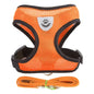 Adjustable Mesh Cat Harness Vest with Leash - Perfect for Small and Medium Pets!