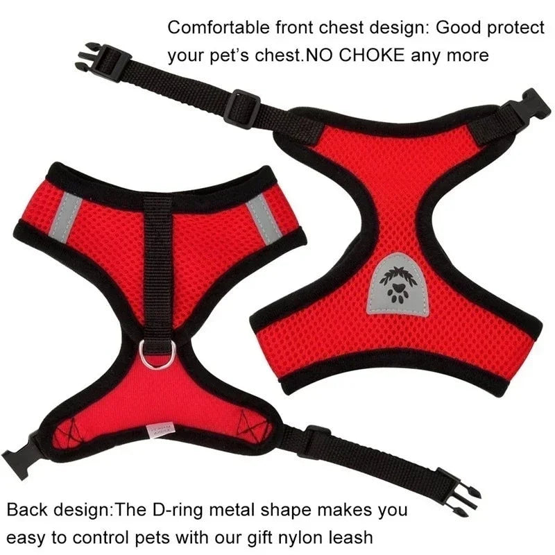 Adjustable Mesh Cat Harness Vest with Leash - Perfect for Small and Medium Pets!