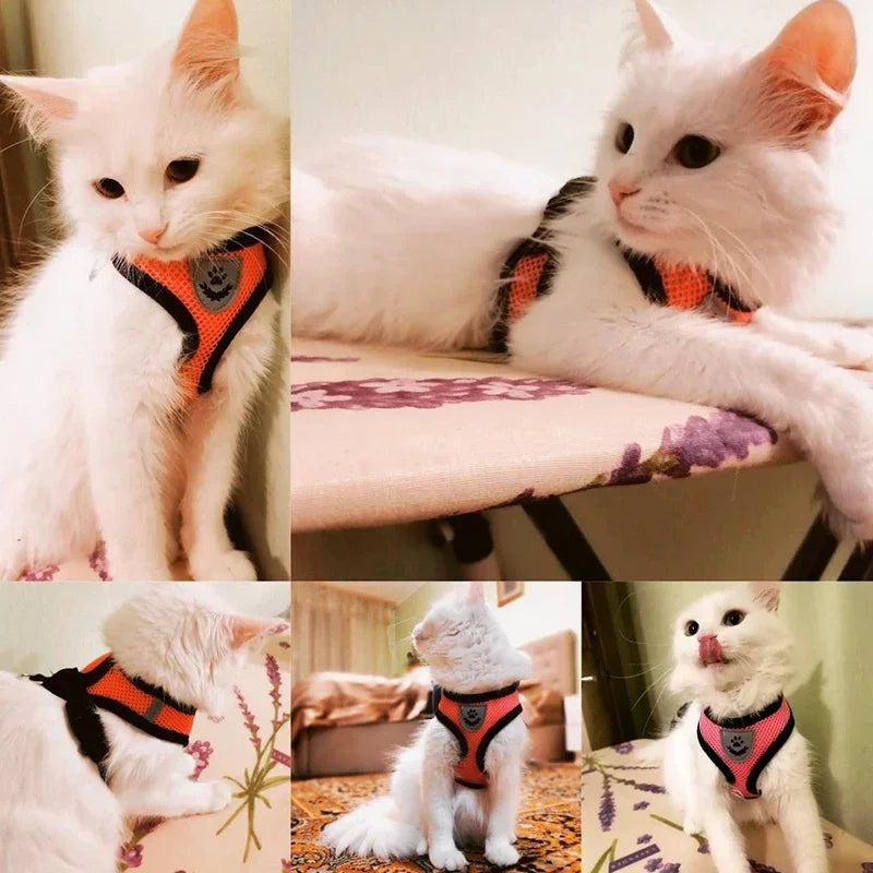 Adjustable Mesh Cat Harness Vest with Leash - Perfect for Small and Medium Pets!