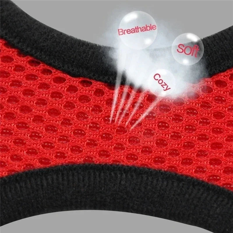 Adjustable Mesh Cat Harness Vest with Leash - Perfect for Small and Medium Pets!