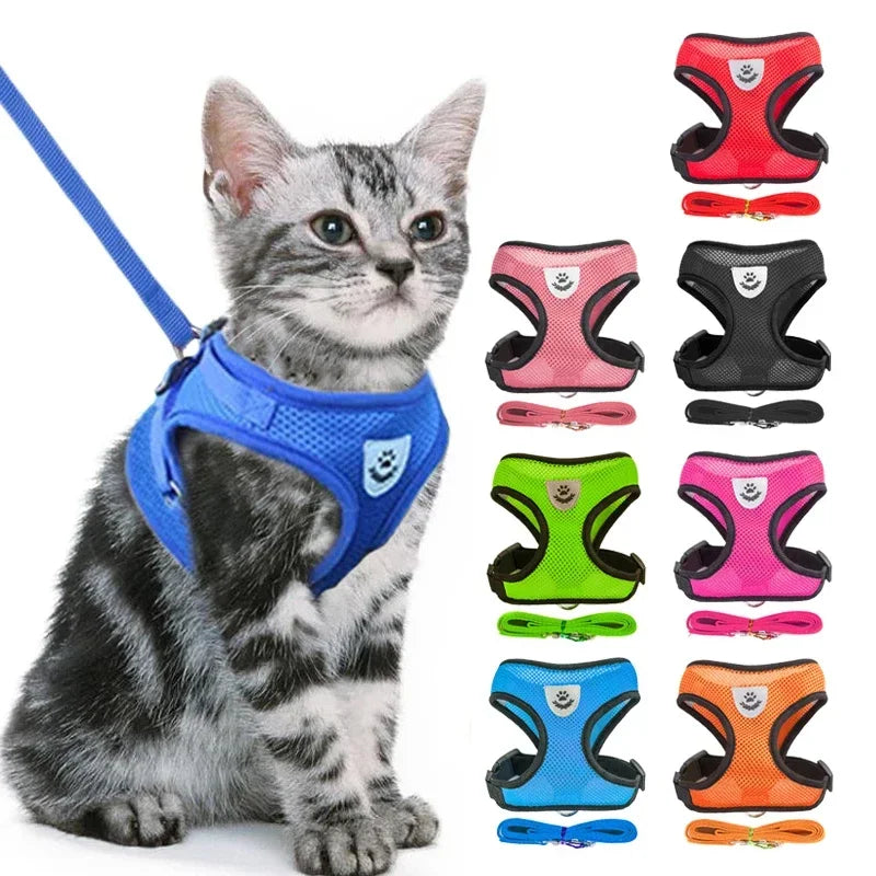Adjustable Mesh Cat Harness Vest with Leash - Perfect for Small and Medium Pets!