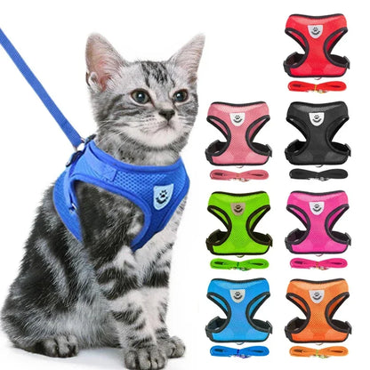 Adjustable Mesh Cat Harness Vest with Leash - Perfect for Small and Medium Pets!