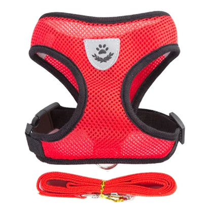Adjustable Mesh Cat Harness Vest with Leash - Perfect for Small and Medium Pets!