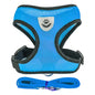 Adjustable Mesh Cat Harness Vest with Leash - Perfect for Small and Medium Pets!