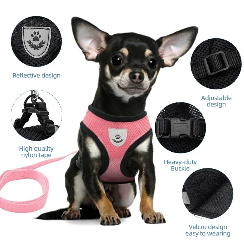 Adjustable Mesh Cat Harness Vest with Leash - Perfect for Small and Medium Pets!