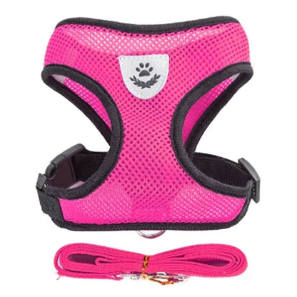 Adjustable Mesh Cat Harness Vest with Leash - Perfect for Small and Medium Pets!