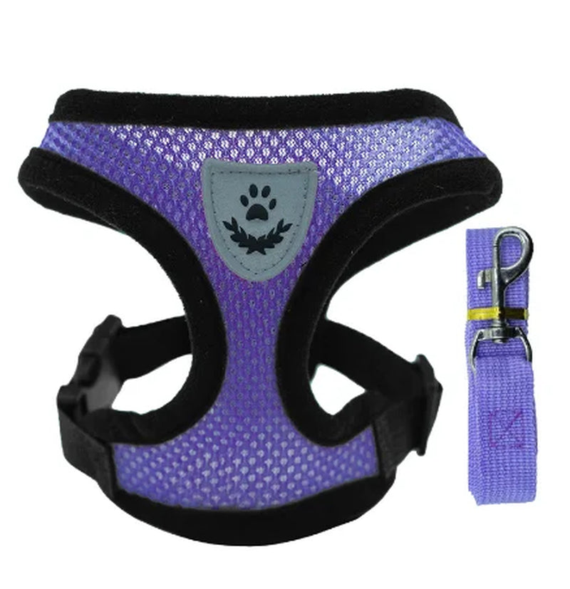Adjustable Mesh Cat Harness Vest with Leash - Perfect for Small and Medium Pets!